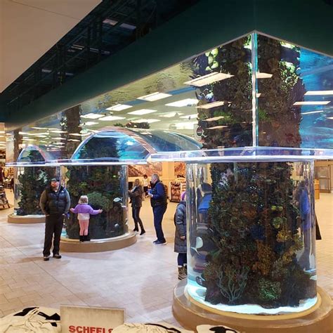 China Shopping Mall Acrylic Aquarium Suppliers, Manufacturers - Factory Direct Price - Chuanyue®