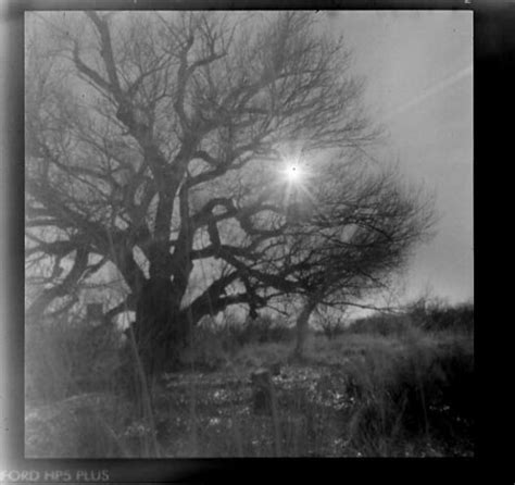 December Afternoon | Holga pinhole camera, Ilford HP5 ISO 40… | Flickr