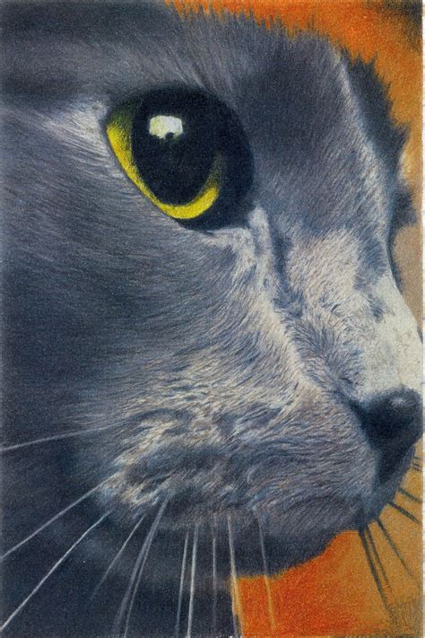 Cat Eyes Colored Pencil Art Print - Etsy