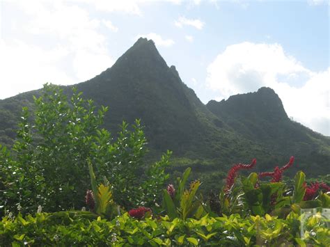 the mountains are in the distance with trees and bushes