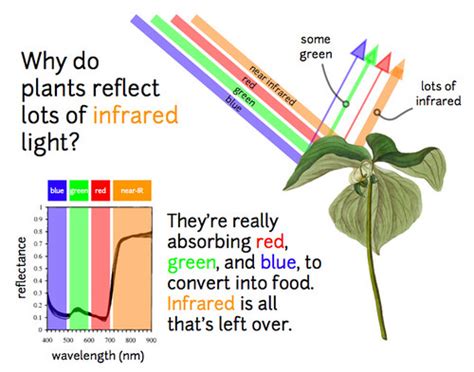 Public Lab: Near infrared imaging