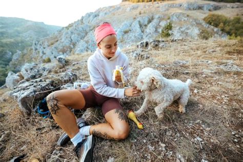 How to Prevent Hypoglycemia in Dogs on Outdoor Adventures