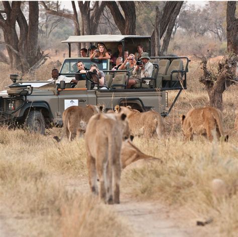 Brilliant Botswana safari holidays | Expert Africa