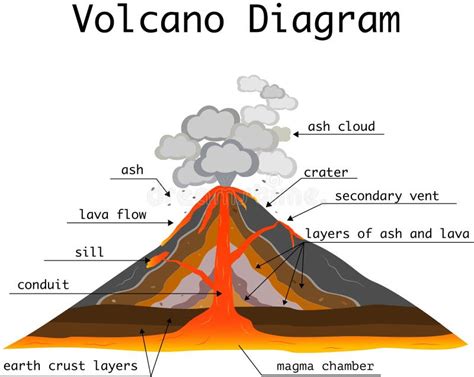 Volcano Parts Diaram Illustration Vector Stock Vector - Illustration of drawing, lava: 292606352