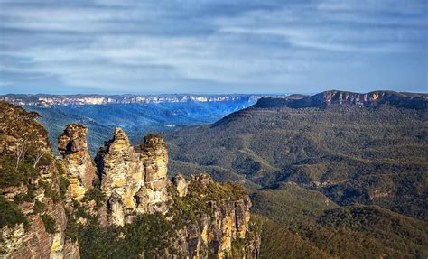 Nature and Wildlife Tour in Blue Mountains Day Excursion from Sydney Hotel