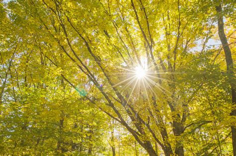 Vermont Fall Foliage - Alan Crowe Photography