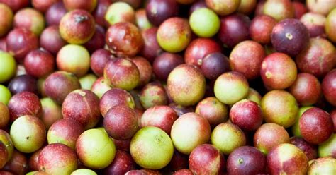 7 Evidence-Based Health Benefits of Camu Camu