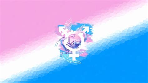 Trans Flag Wallpapers - Top Free Trans Flag Backgrounds ...