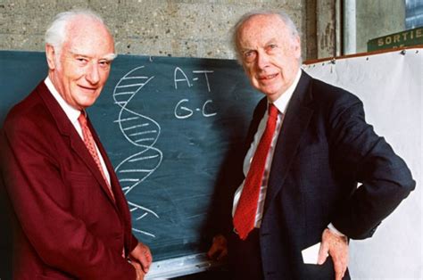 FRANCIS CRICK: Biografía, Aportes, Central Dogma, y más