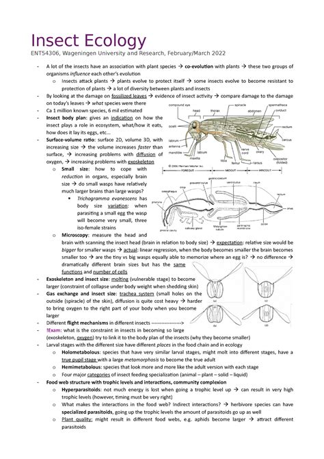 20220214 Insect Ecology - Insect Ecology ENT54306, Wageningen University and Research, - Studeersnel