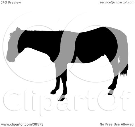 Clipart Illustration of a Black Silhouetted Horse in Profile by dero #38573