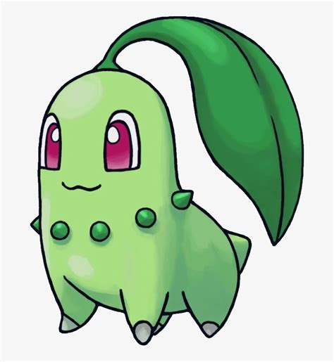 Imagenes De Pokemon Chikorita Transparent PNG - 672x811 - Free Download on NicePNG