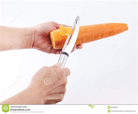 Fruit knife sheath, pare stock image. Image of pare, plant - 56335999