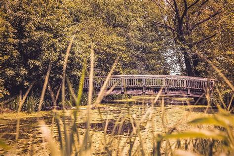 Creek Bridge Free Photo - Gratisography