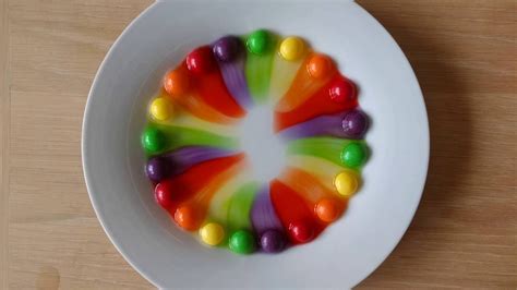 Skittles colour diffusion experiment | Stem experiments, Diffusion activity, Science projects