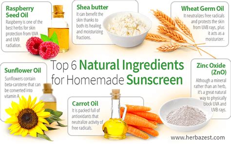 Top 6 Natural Ingredients for Homemade Sunscreen | HerbaZest