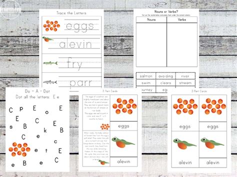 Salmon Life Cycle Printable