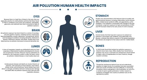 How does Air Pollution affect Human Health? | Clarity