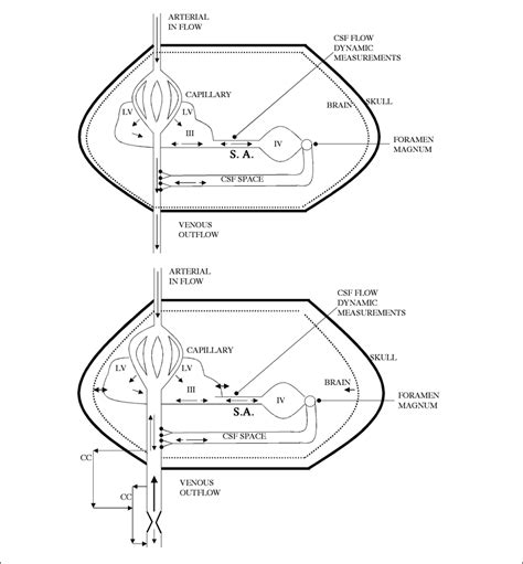 —CSF flow dynamics. Top: Physiology of CSF flow dynamics from ...