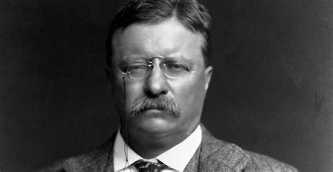 portrait-of-teddy-roosevelt - Theodore Roosevelt Pictures - Theodore ...