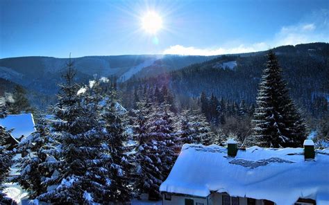 Cabins in Winter Forest