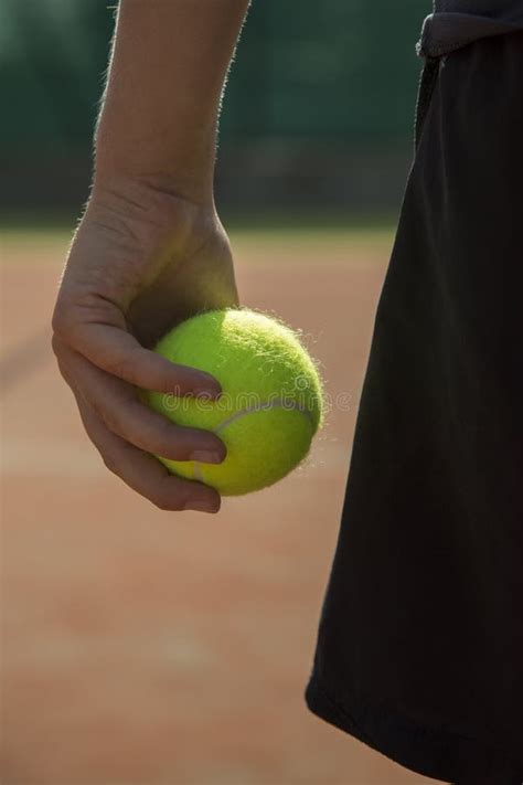 Hand holding tennis ball stock photo. Image of part, white - 10838884