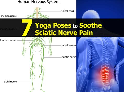 7 Yoga Poses to Soothe Sciatic Nerve Pain