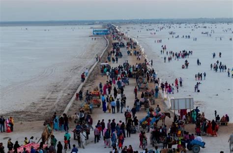 95+ most beautiful images in Rann of Kutch, Gujarat, India