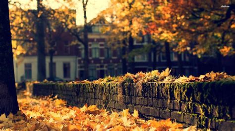 Cozy Autumn Wallpapers - Top Free Cozy Autumn Backgrounds - WallpaperAccess