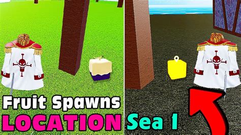 How To Find All Fruit Spawn Locations In Sea 1 Blox Fruits Youtube - Riset