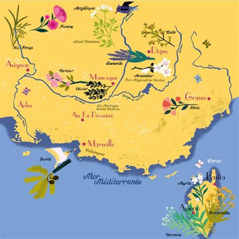 Provence map - The French Traveler