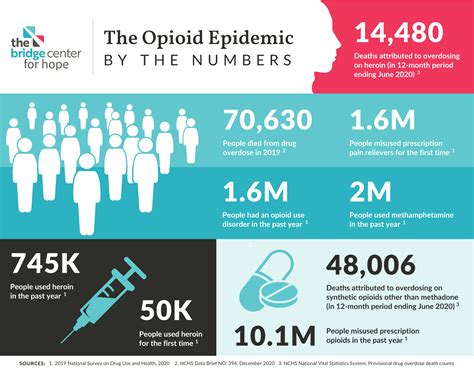 The Opioid Addiction Epidemic: What You Need to Know - Bridge Center ...