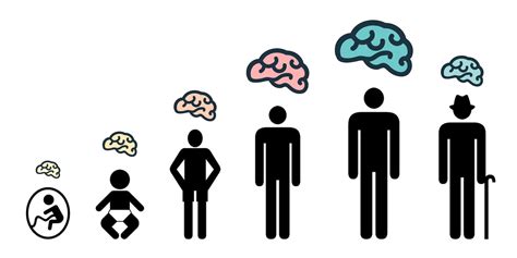 What Is Normal Brain Aging: Understanding Structural and Functional Changes - Altoida