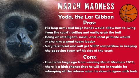 March Madness 2023 – Utica Zoo
