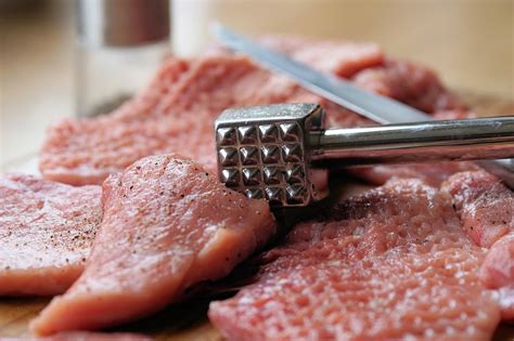 Holy Schmeat! FDA and USDA debate the future of lab-grown meat — Health & Wellness — Sott.net