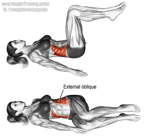 Lying bent knee oblique twist. An isolation core exercise. Target ...