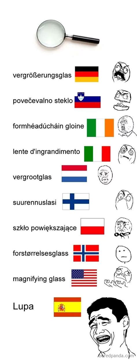 30 Funniest Memes About Spanish Language For People That Tried Learning ...