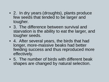 Natural Selection, Evolution, and Speciation PowerPoint by Paige Lam