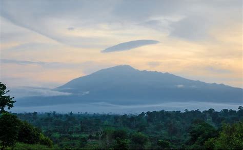 8 Interesting Facts About Cameroon - WorldAtlas