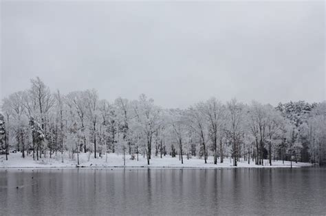 Lake Nacogdoches | Nacogdoches, Landscape, Lake