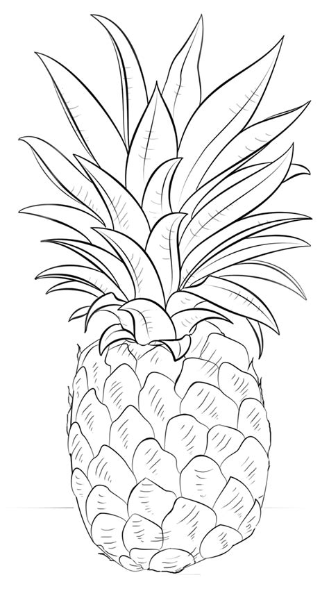 Pineapple Coloring Pages