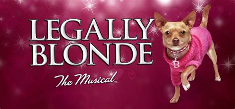 Legally Blonde The Musical | Music Theatre International