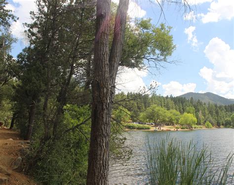 Prescott, Lynx Lake Recreation Hiking Trail: Refreshing Fun