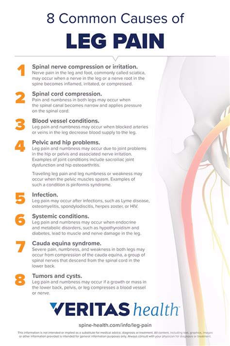 8 Causes of Leg Pain Infographic | Spine-health