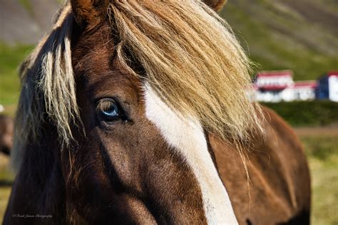 Snæfellsnes Teasers – Dutch goes the Photo!