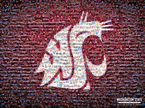 WSU Cougar Wallpaper - WallpaperSafari