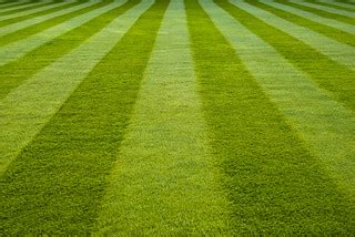 Stripes on the lawn - Emmanuel | AdamKR | Flickr
