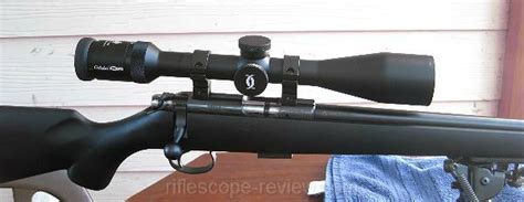 What Are The Best CZ 455 Scope Rings?