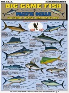 Tightlines Chart #2 Big Game Fish Id Chart Pacific Ocean