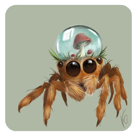 hybrid jump spider by Vicoline Art | Spider drawing, Spider art, Spider ...